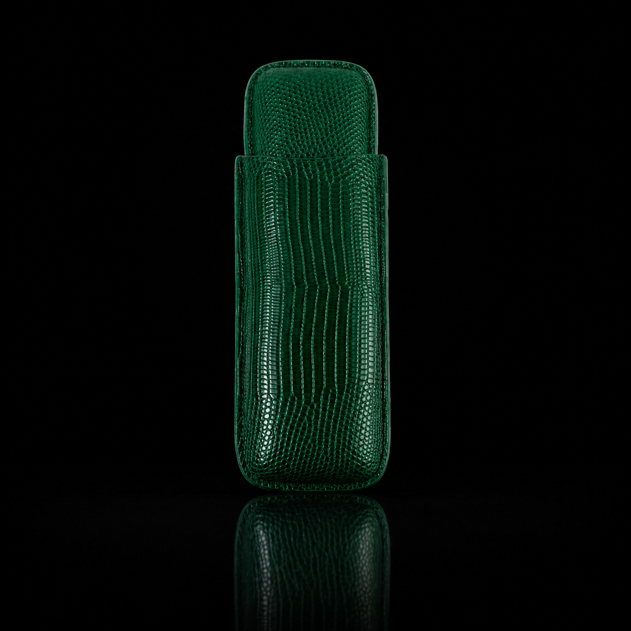 Luxury Leather Double Cigar Case