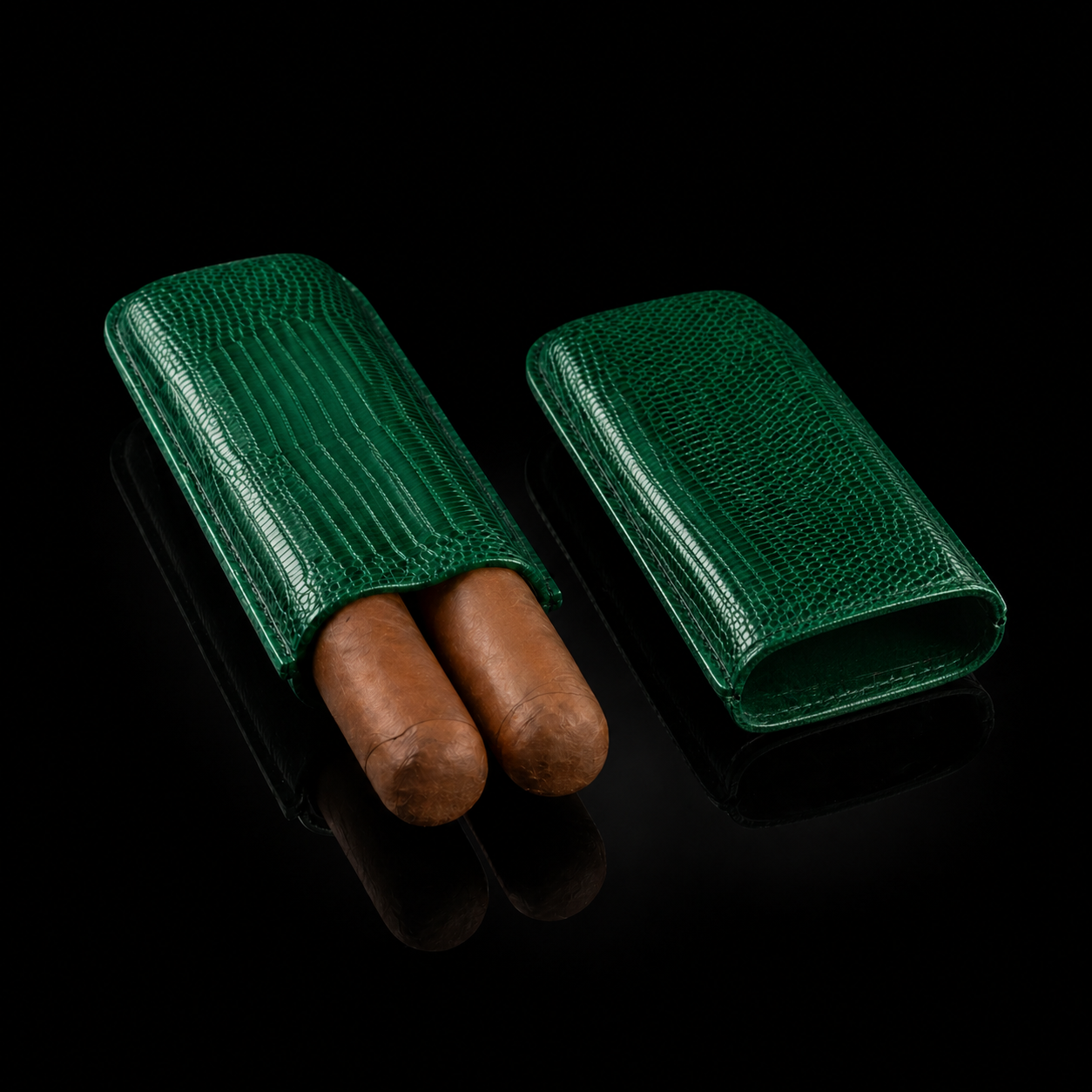 Luxury Leather Double Cigar Case